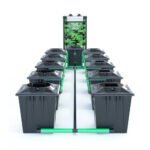 Grolys RDWC BLK 10-20