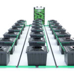 Grolys RDWC BLK 21-36