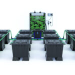 Grolys Rain 12-30 BLK