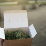 Microgreens_produkt_02