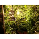 VERTICAL HYDROPONIC SYSTEM - FIVE WALLS LARGE - 5SV