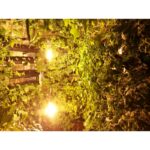 VERTICAL HYDROPONIC SYSTEM - FIVE WALLS LARGE - 5SV