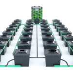 Grolys RDWC BLK 32-36